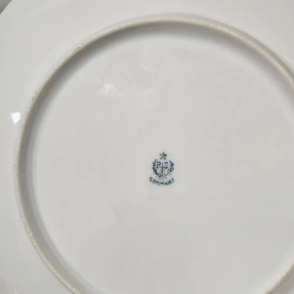 Vintage Reinhold Schlegelmilch (RS) Germany Hand Painted Plate Rose